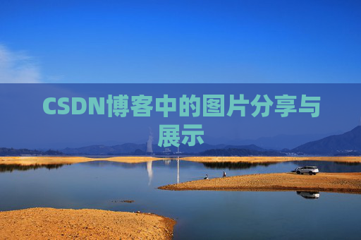 CSDN博客中的图片分享与展示